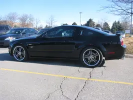 Picture 003.webp