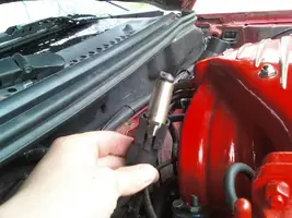 mustang wtf.webp