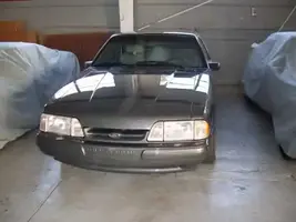 88 stang.webp