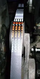 belt.webp