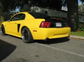 mustard pack 004.webp