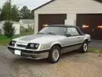 mustang pic.webp