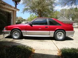 Mustang 1.webp
