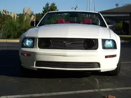 DSCN4981.webp