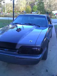 Mustang.webp