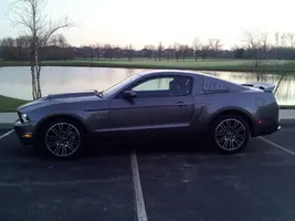 mustang 01.webp