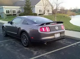 mustang 02.webp