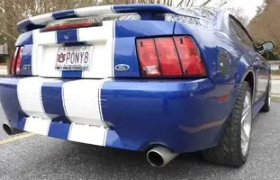 stang.webp
