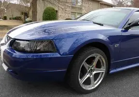 stang2.webp