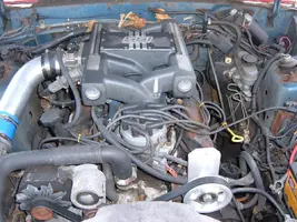 mustang11.webp