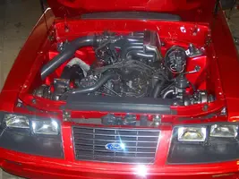 Terryfix.webp