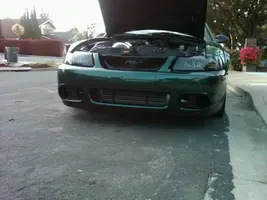 bumper 2.webp