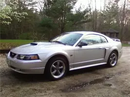 stang clean.webp