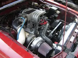 DSC06168 (Medium).webp