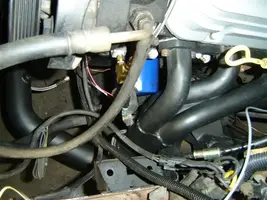 004 (Small).webp