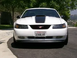 100_0298.webp