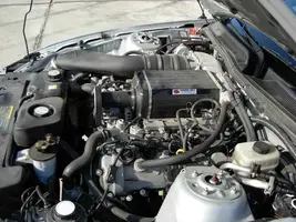 DSCN1246.webp