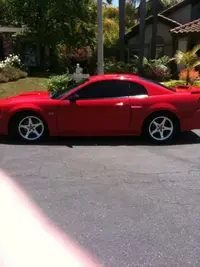 wheel 5.webp