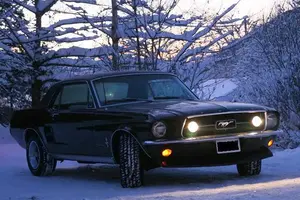 mustang 085lysere.webp