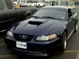 my stang.webp