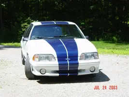 mustangv 002.webp