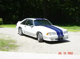 mustangv 001.webp