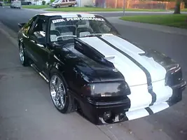 frontofmustang.webp frontofmustang.webp