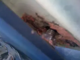 hood damage 001.webp