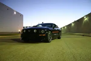 Mustang Photo 2.webp