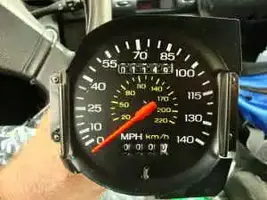140 speedo.webp