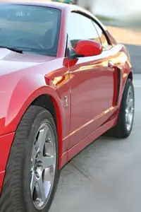 side view 2.webp