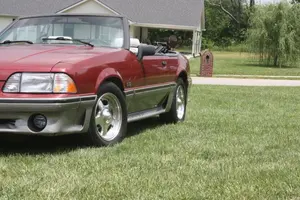 stang.webp