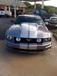06 Stripes.webp