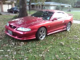 mustang2.webp