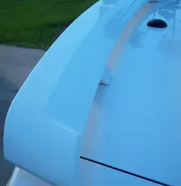wing1.webp
