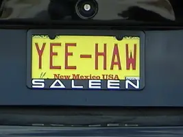 Yee haw.webp
