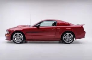 stang.webp
