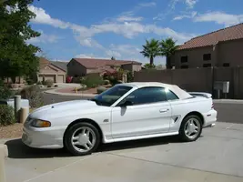 stang_MC 002.webp