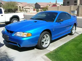 cobra 001.webp
