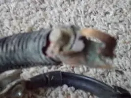 Cable assy 02.webp