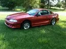 95 gt.webp