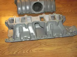 intake 003.webp