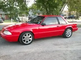 stang.webp