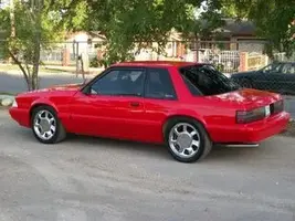 stang1.webp