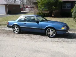 88 stang2.webp
