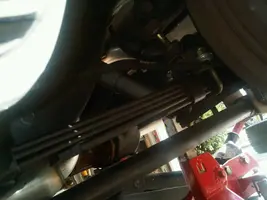 Rear Leafs 2.webp