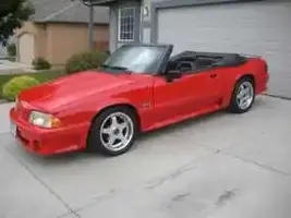 mustang4.webp