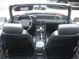 mustang3.webp