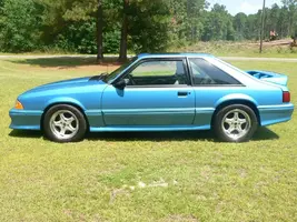 Mustang.webp