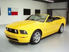 mustang1.webp